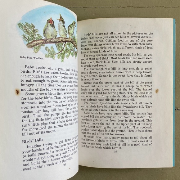 1958 Birds Cardinal Illustrated Picture Book Animal Bird Spring Toucan Animals - Picture 10 of 13